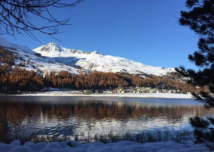 شقة Chesa Arnica A5 By Interhome لا بانت شاموس سي إتش