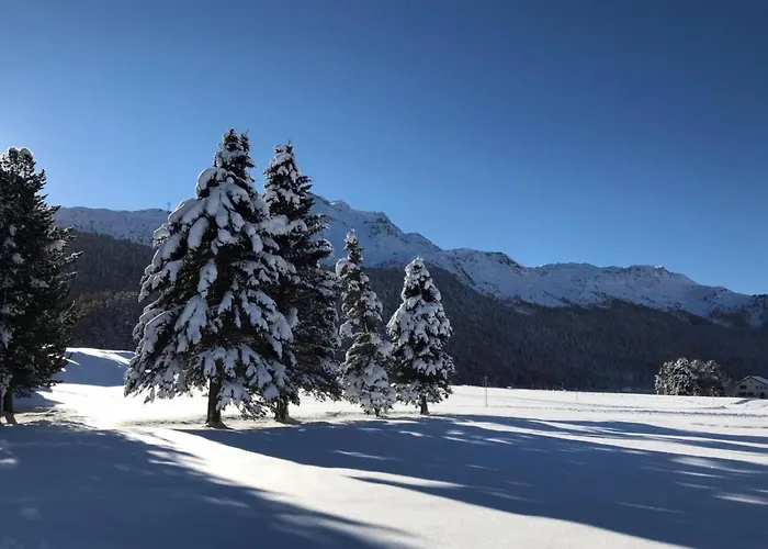 شقة Chesa Arnica A5 By Interhome *