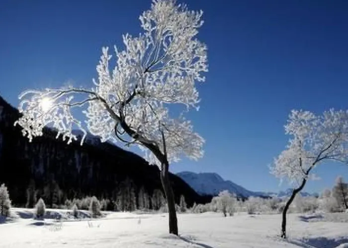 Chesa Arnica A5 By Interhome * لا بانت شاموس سي إتش