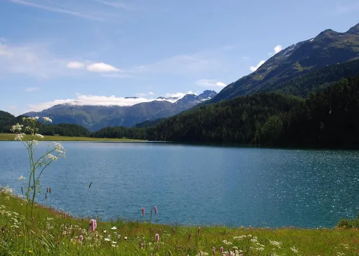 Appartamento Chesa Arnica A5 By Interhome La Punt-Chamues-ch